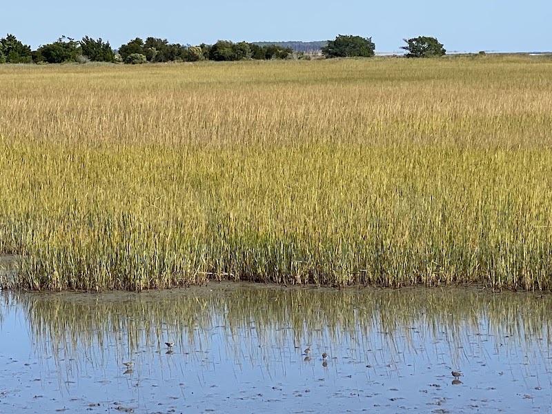 Historic Mitchelville Freedom Park – A Living Legacy in Hilton Head, SC - Historic Mitchelville Freedom Park