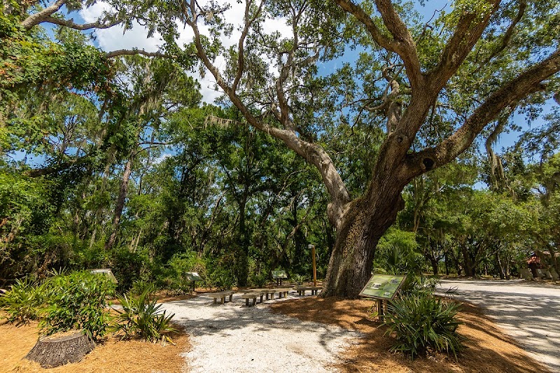 Historic Mitchelville Freedom Park – A Living Legacy in Hilton Head, SC surrounding landscape