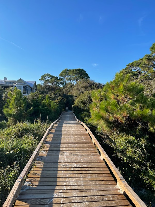 Oceanfront Serenity at Sea Pines Beach, Hilton Head Island - Sea pines beach