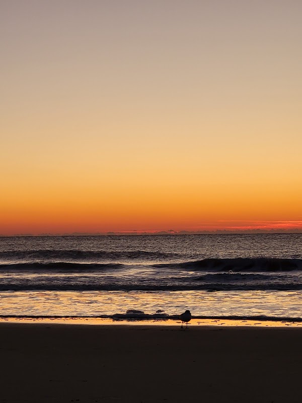 Coastal Serenity at Burkes Beach, Hilton Head Island outdoor detail