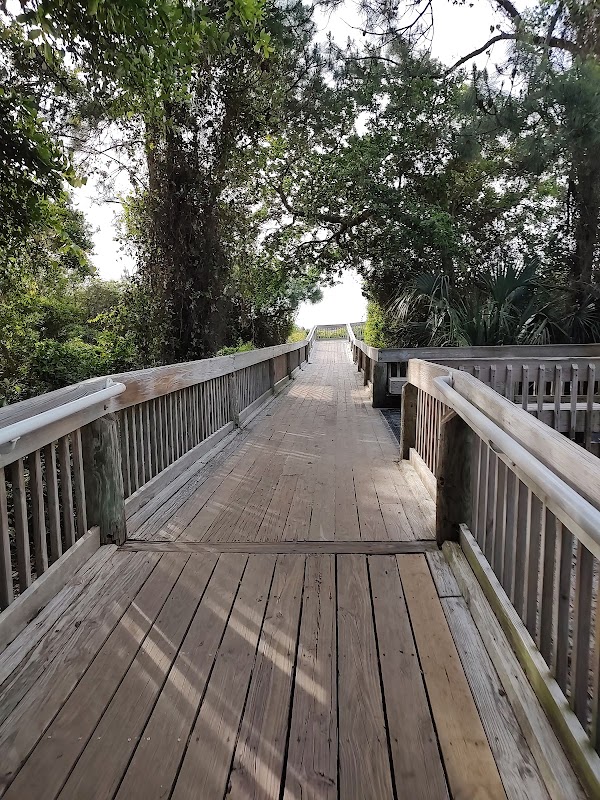 Coastal Escape at Folly Field Beach surrounding landscape