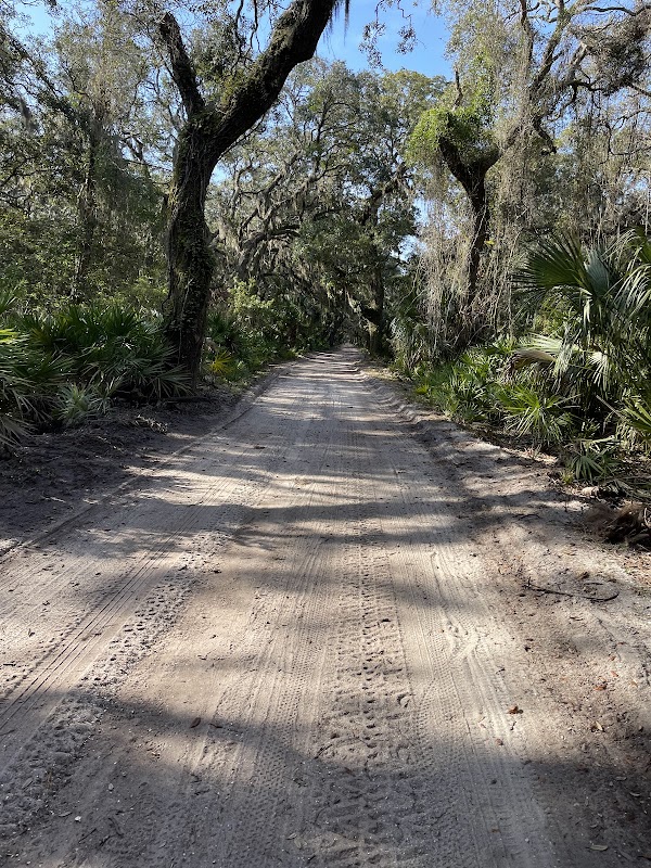 Natural Wonders of Cumberland Island National Seashore Park Headquarters - Cumberland Island National Seashore Park Headquarters