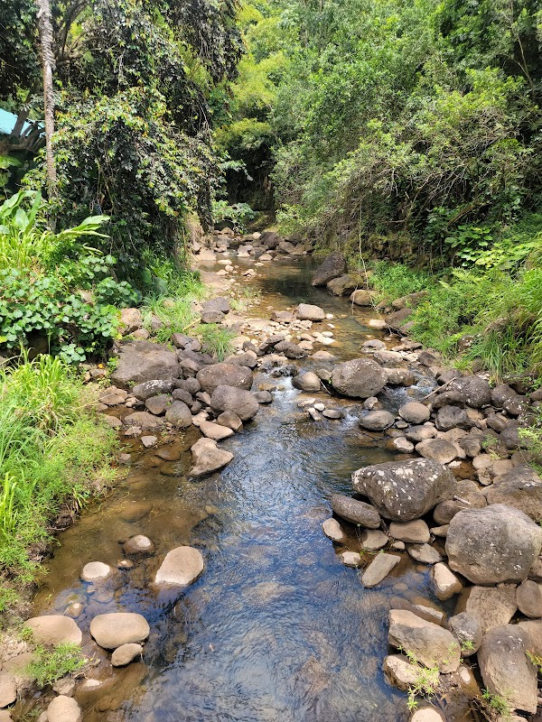 Waterfall Wonders at Waimea Valley, Oahu - Waimea Valley