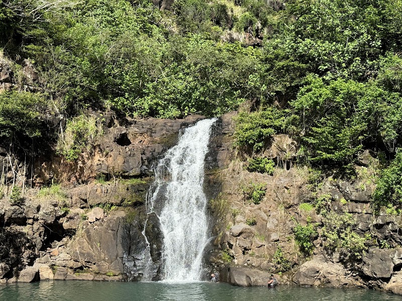 Waimea Valley Preserve adventures