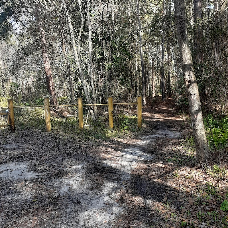 Urban Biking Adventure at The Beach and Peach Urban Bike Park, Jacksonville surrounding landscape