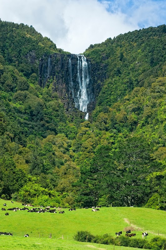 Majestic Waterfall Experience at Wairere Falls, Waikato outdoor detail