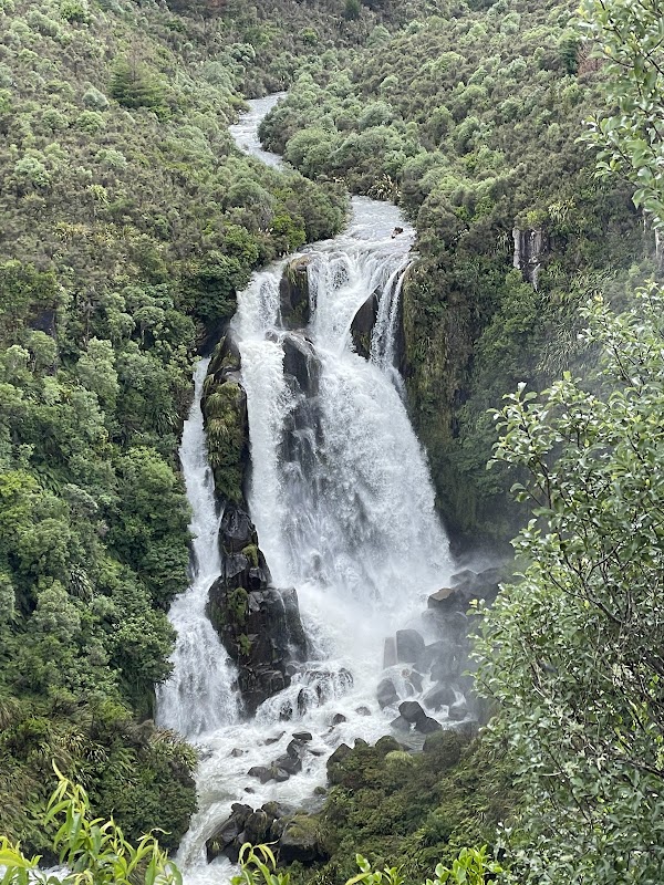 Stunning Waterfall Wonder - Waipunga Falls, New Zealand - Waipunga Falls