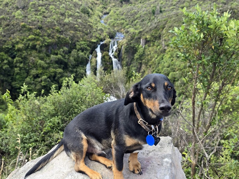 Stunning Waterfall Wonder - Waipunga Falls, New Zealand outdoor detail
