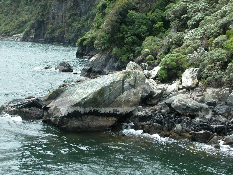 Majestic Waterfall Experience at Bowen Falls, Fiordland - Bowen Falls