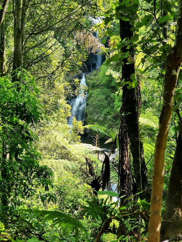 Waterfall Wonder: Kaiate Falls in New Zealand outdoor detail