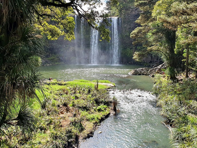 Waterfall Wonder: Whangarei Falls in Northland, New Zealand - Whangarei Falls