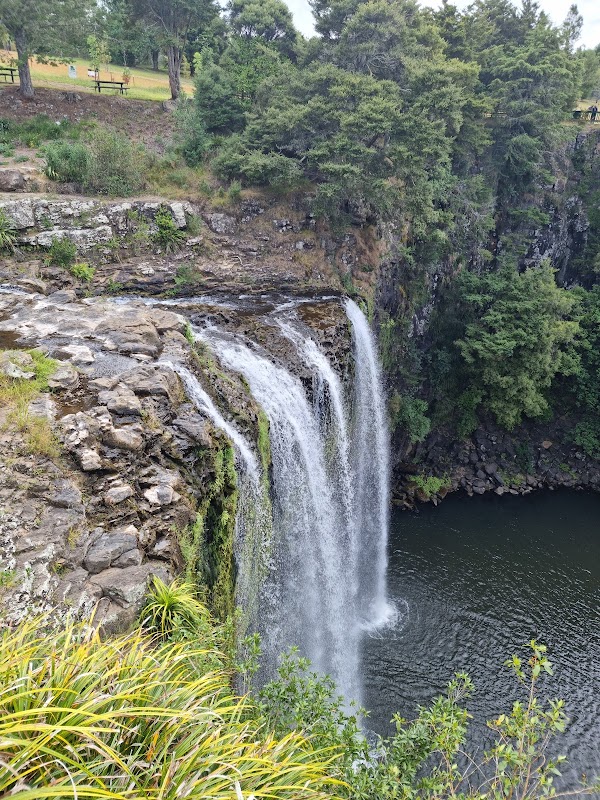 Waterfall Wonder: Whangarei Falls in Northland, New Zealand - Whangarei Falls