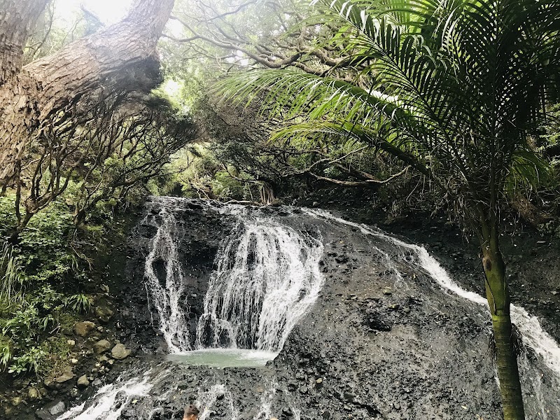 Waterfall Wonder: Karekare Falls in Auckland Region surrounding landscape