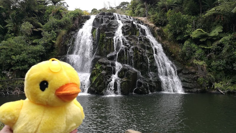 Waterfall Wonder: Owharoa Falls in Waikato, New Zealand outdoor detail