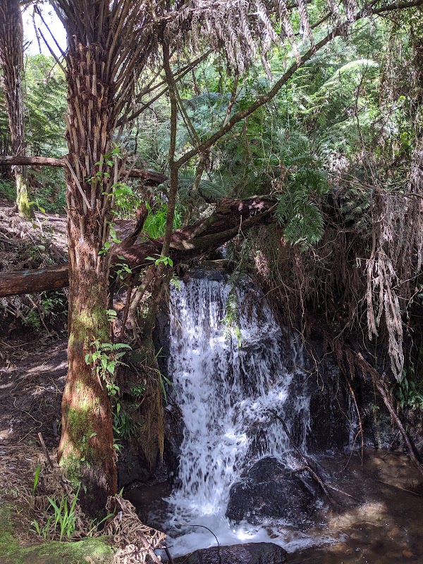 Waterfall Wonder: Owharoa Falls in Waikato, New Zealand surrounding landscape