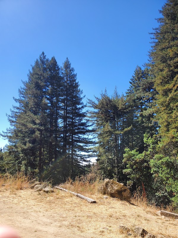Enchanting Forest Path at Enchanted Trail Trailhead, Santa Cruz surrounding landscape