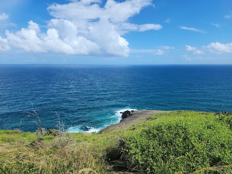 Coastal Marvel at Point Udall, St. Croix - Point Udall