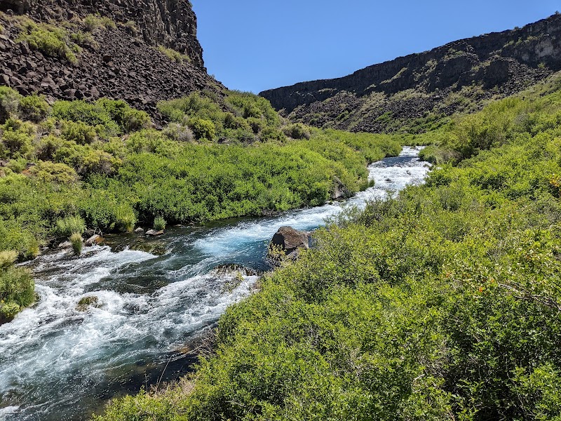 Natural Wonder at Earl M. Hardy Box Canyon Springs Nature Preserve outdoor detail
