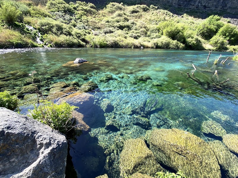 Natural Wonder at Earl M. Hardy Box Canyon Springs Nature Preserve surrounding landscape