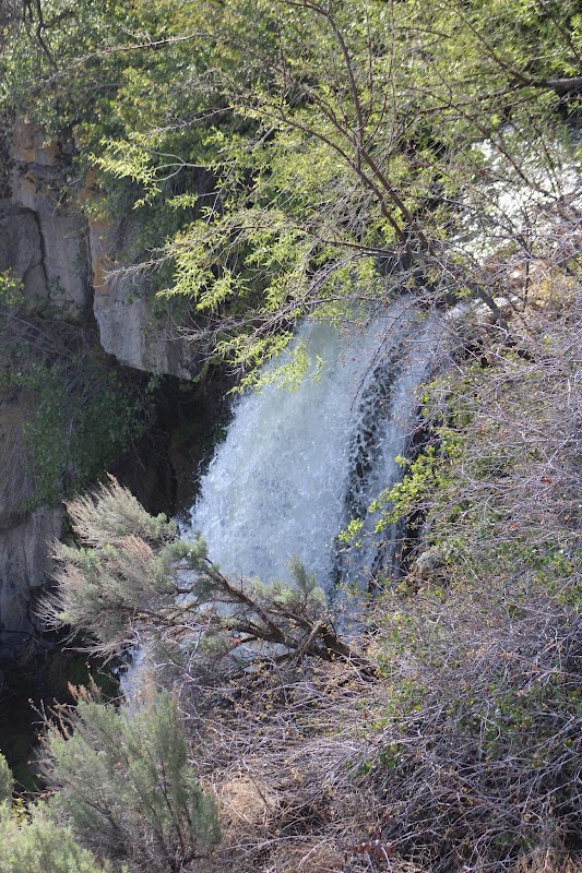 Canyon Views: Snake River Canyon Rim Trail in Twin Falls, Idaho surrounding landscape