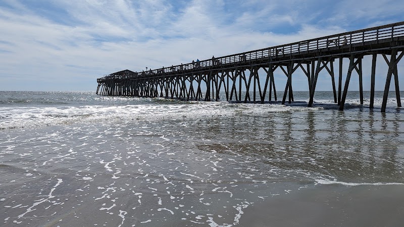 Coastal Charm at Myrtle Beach State Park - Myrtle Beach State Park