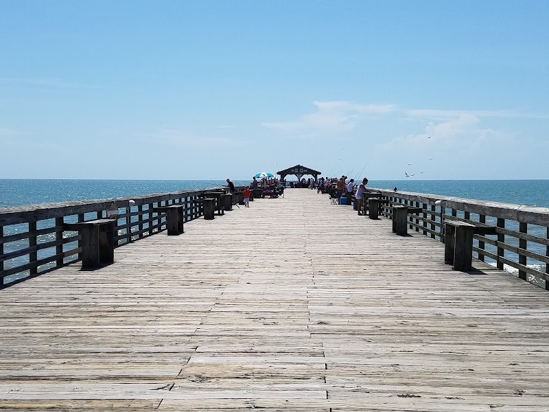 Coastal Charm at Myrtle Beach State Park - Myrtle Beach State Park