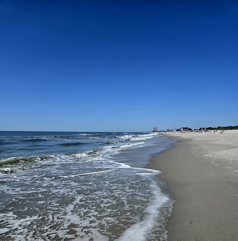 Coastal Charm at Myrtle Beach State Park - Myrtle Beach State Park