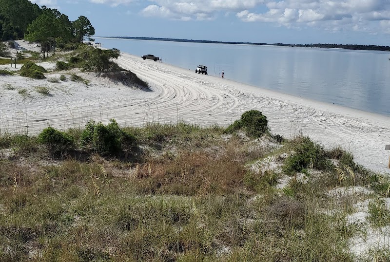 Coastal Beauty and Wildlife at Amelia Island State Park outdoor detail