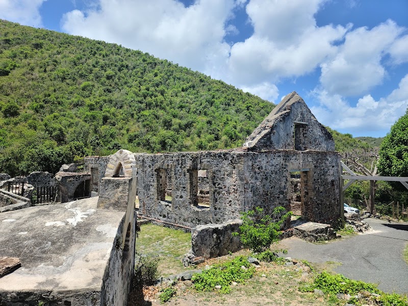 Historic Ruins & Caribbean Nature at Annaberg Sugar Plantation - Annaberg Sugar Plantation