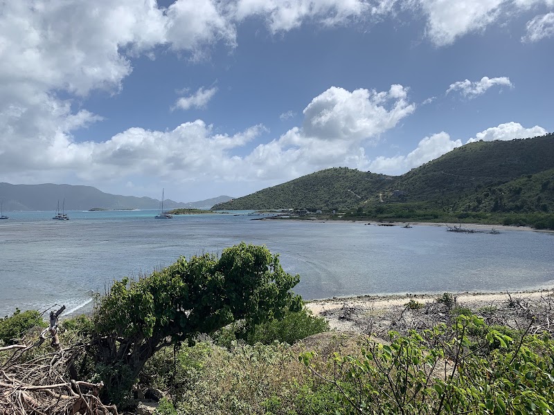 Natural Thermal Pool Wonder - Bubbly Pool, British Virgin Islands - Bubbly Pool