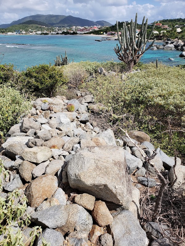 Rocky Coast and Cacti of Little Fort National Park, Virgin Gorda - Little Fort National Park