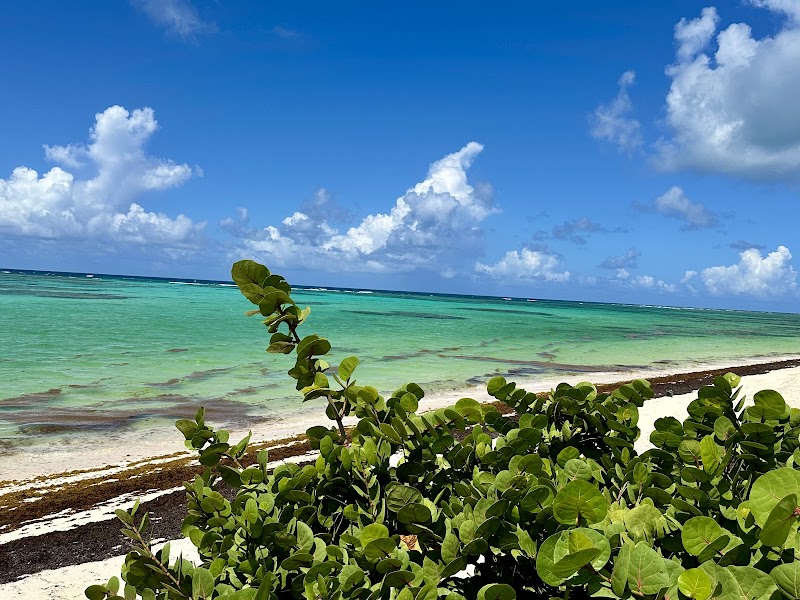 Secluded Coastal Beauty at Cow Wreck, British Virgin Islands - Cow Wreck