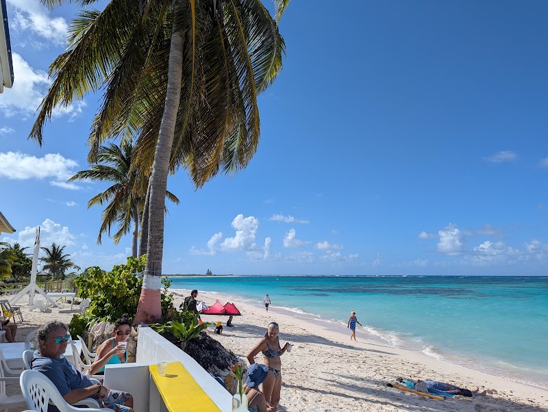 Secluded Coastal Beauty at Cow Wreck, British Virgin Islands - Cow Wreck