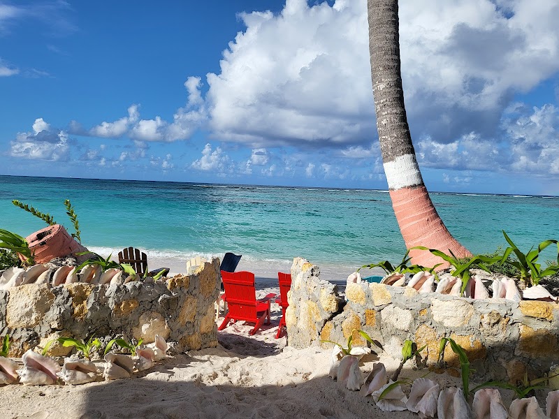 Secluded Coastal Beauty at Cow Wreck, British Virgin Islands - Cow Wreck