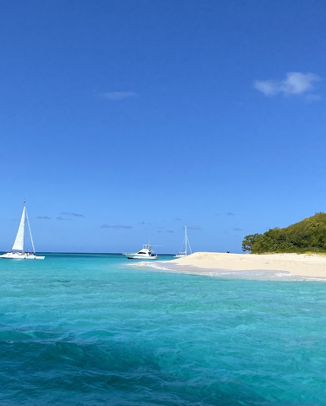 Coastal Paradise at Buck Island, St. Croix - Buck Island