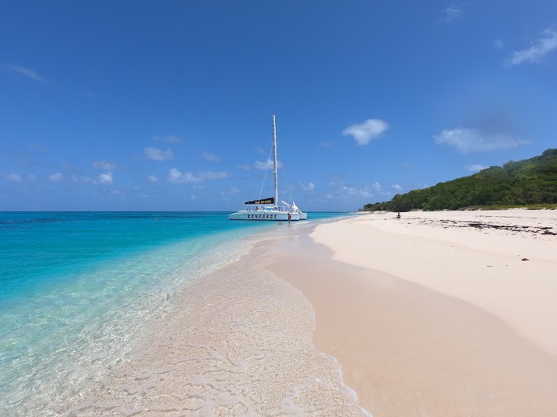 Coastal Paradise at Buck Island, St. Croix - Buck Island