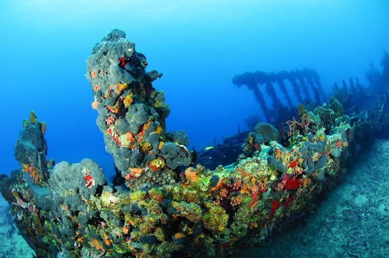 Underwater Wonders at R. M. S. Rhone National Park, British Virgin Islands - R. M. S. Rhone National Park