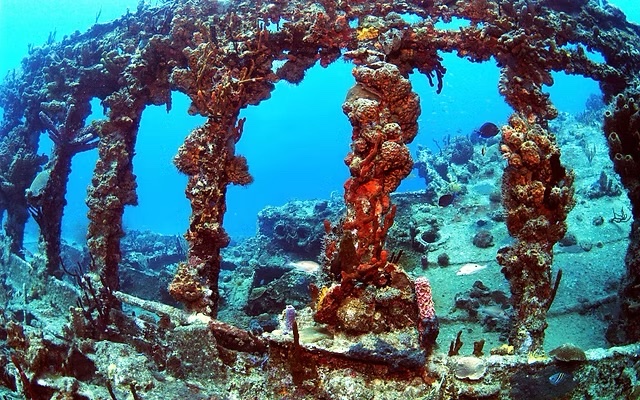 Underwater Wonders at R. M. S. Rhone National Park, British Virgin Islands - R. M. S. Rhone National Park