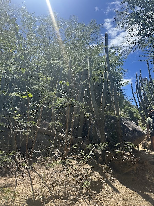 Coastal Beauty and Secluded Serenity at Devil's Bay Beach Trail - Devil's Bay Beach Trail