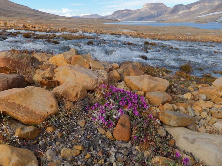 Arctic Wilderness Adventure at Quttinirpaaq National Park - Quttinirpaaq National Park