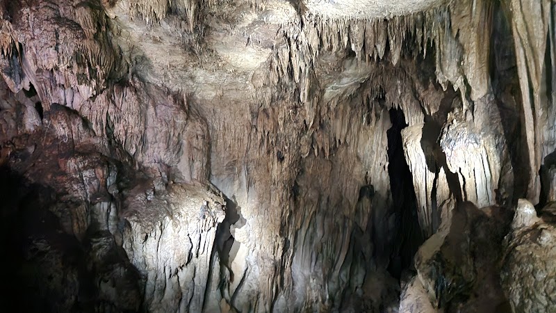 Cave Wonders at Parque Nacional de las Cavernas del Río Camuy, Puerto Rico surrounding landscape