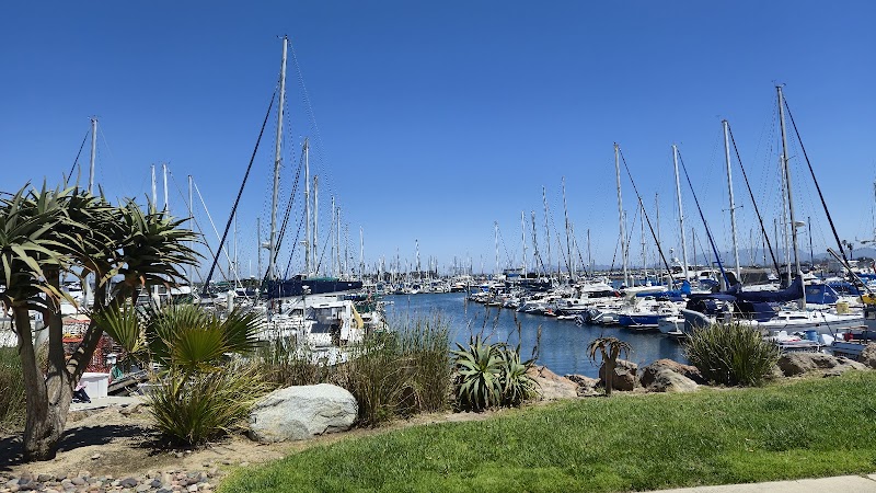 Beachfront Serenity at Harbor View Park, Oxnard - Harbor View Park