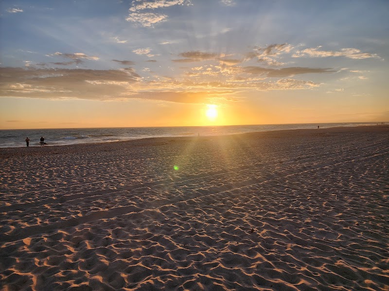 Coastal Serenity at Mandalay State Beach - Mandalay State Beach