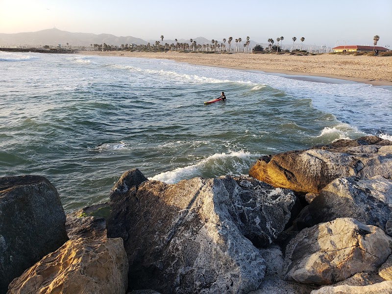 Coastal Serenity at McGrath State Beach, California surrounding landscape