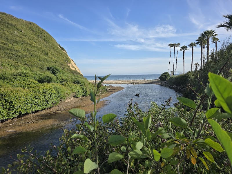 Coastal Beauty at Arroyo Burro Beach County Park in Santa Barbara outdoor detail
