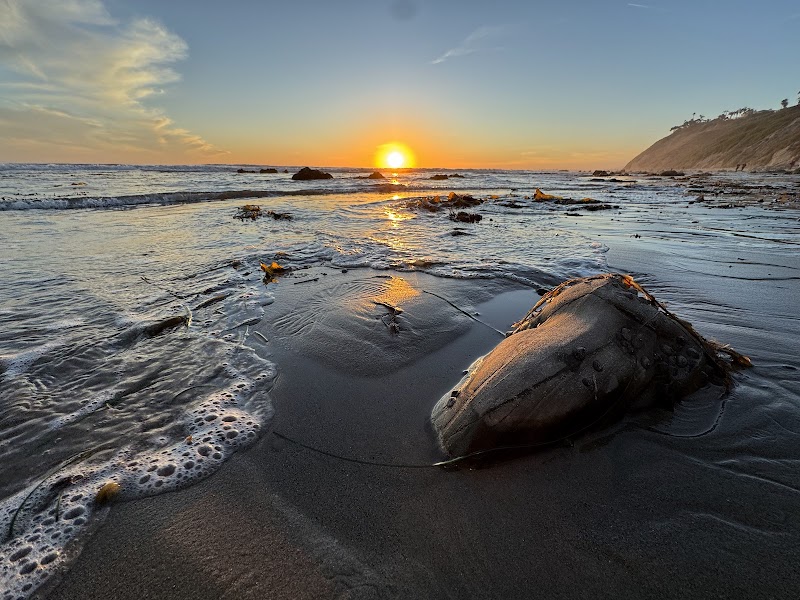 Coastal Beauty at Arroyo Burro Beach County Park in Santa Barbara surrounding landscape