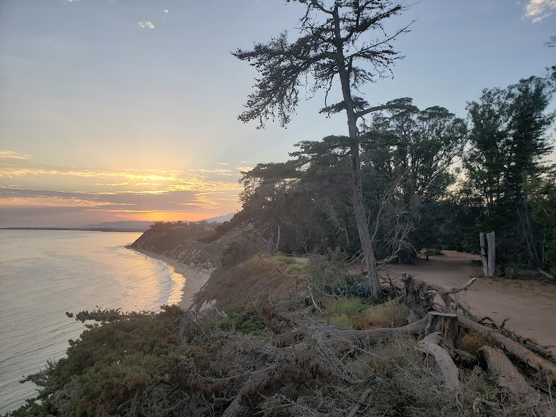 Coastal Escape at Douglas Family Preserve in Santa Barbara outdoor detail