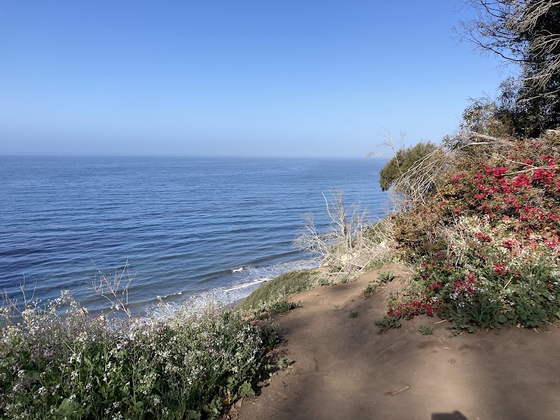 Coastal Escape at Douglas Family Preserve in Santa Barbara - Douglas Family Preserve