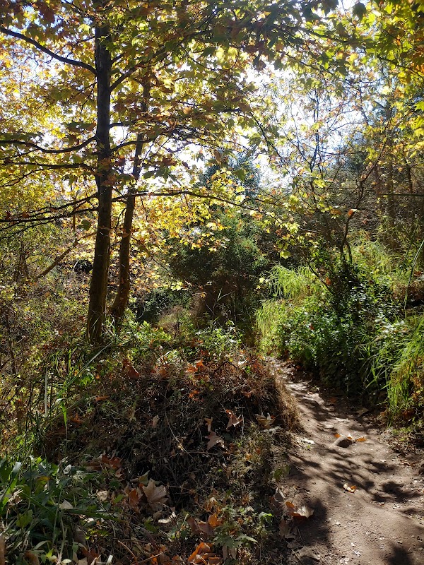 Hiking at Jesusita Trailhead, Santa Barbara surrounding landscape