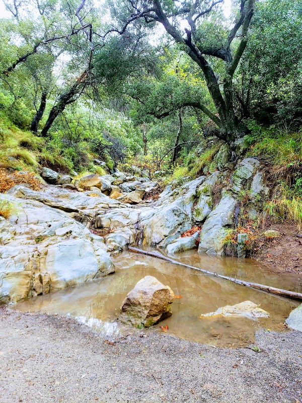 Hiking at Jesusita Trailhead, Santa Barbara outdoor detail